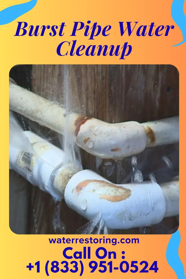 Burst Pipe Water Cleanup in Cecil, OH