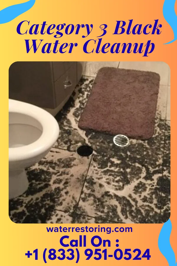 Category 3 Black Water Cleanup in Cecil, OH