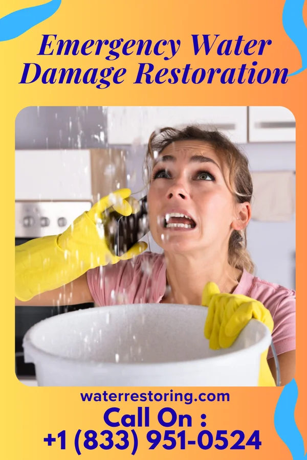 Emergency Water Damage Restoration in Cecil, OH