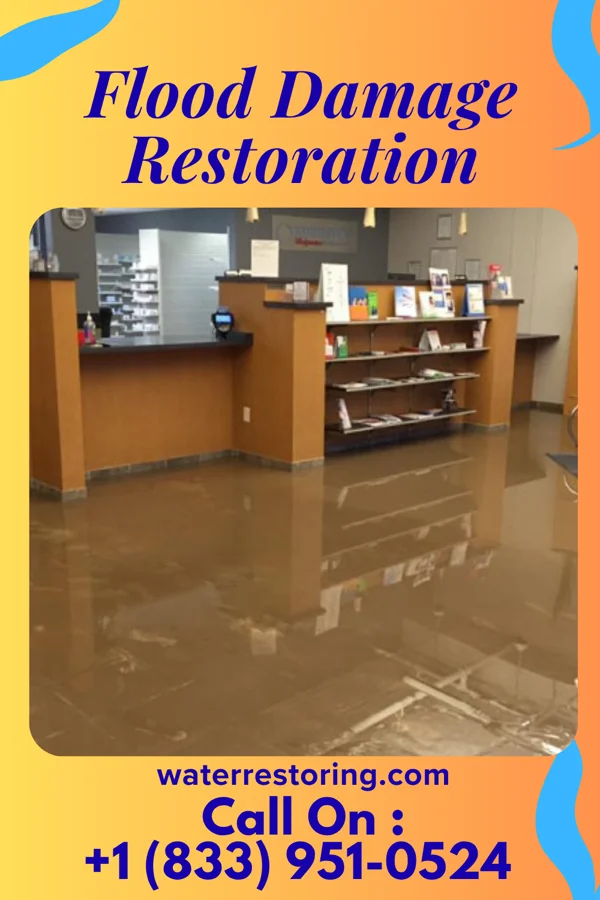 Flood Damage Restoration in Cecil, OH