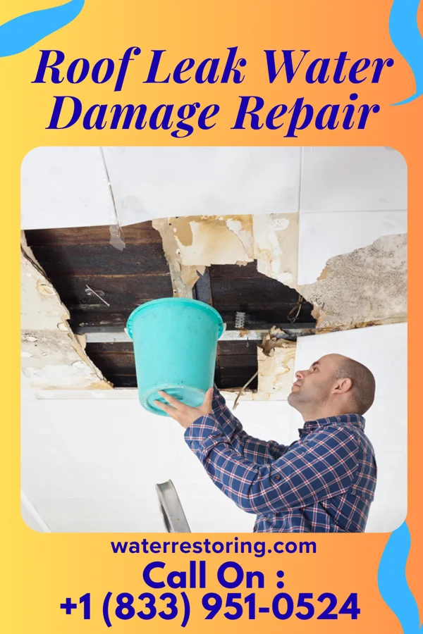 Roof Leak Water Damage Repair in Cecil, OH